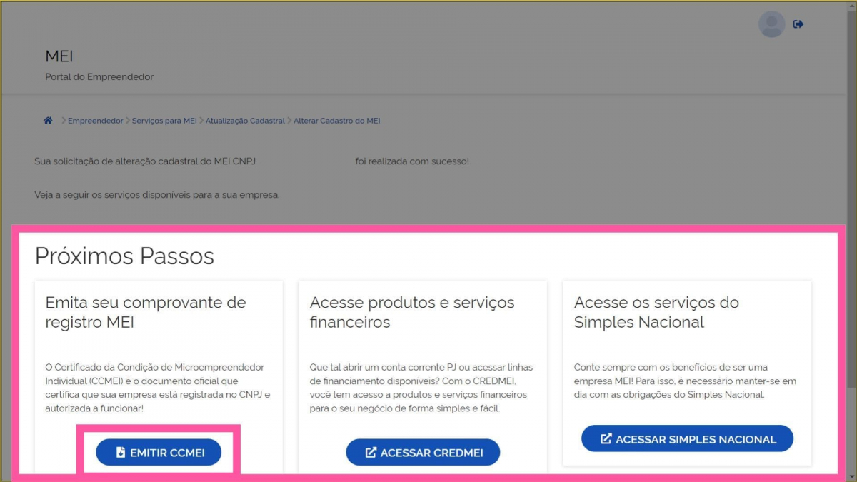 CNAE: como incluir a atividade econômica correta no seu MEI ou ME para ...
